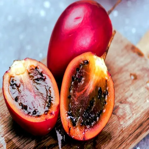 Miniatura 2 de HPGS 10 Seeds - Semillas de tomate Tamarillo Cyphomandra betacea Garden Fruit - Planta de crecimiento rápido, verde, naranja, rojo