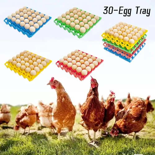 Miniatura 6 de Paquete de 8 bandejas de huevos de plástico para huevos de 30 huevos para granjeros caseros, cajas apilables para huevos con capacidad