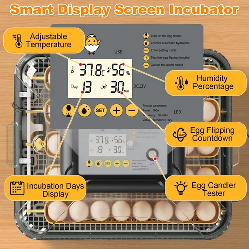 Miniatura 3 de Incubadora de 30 huevos para incubar huevos con giro automático de huevos, pantalla de temperatura y humedad de alta precisión, día de escotilla