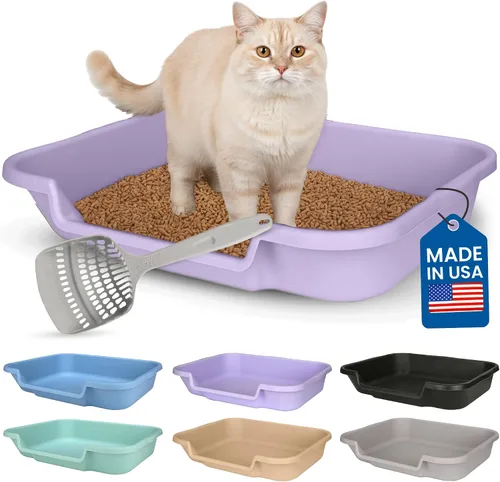 Miniatura 53 de KittyGoHere - Caja de arena para gatos mayores, sartén pequeña con cuchara jumbo de mango largo, caja de arena para gatos de entrada baja, ligera