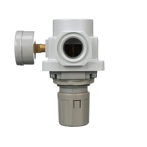 Miniatura 4 de PneumaticPlus SAR600-N10BG Regulador de presión de aire comprimido 1" NPT - Soporte, manómetro.