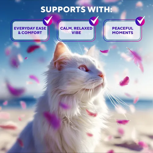 Miniatura 3 de Beloved Pets - Difusor calmante para gatos y productos antiansiedad para mascotas, feromonas calmadas felinas para enchufar y aliviar el estrés