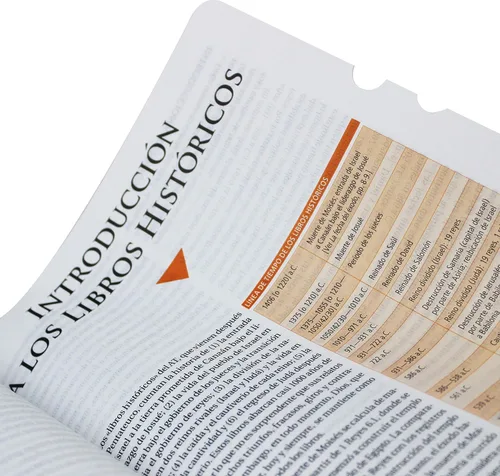 Miniatura 5 de Biblia de Estudio Teológico Reina Valera 1960 Piel Fabricada Negro con Index (Spanish Edition) Imitation Leather – 30 Julio 2019