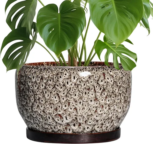 Miniatura 47 de SQOWL Macetas de cerámica – Maceta de 6 pulgadas con orificio de drenaje y bandeja, maceta redonda para plantas de interior, maceta decorativa