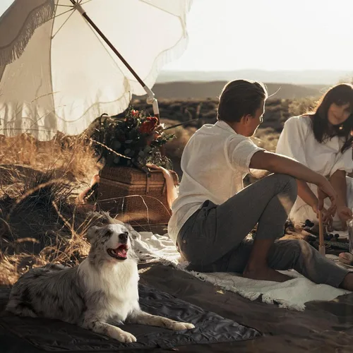 Miniatura 7 de BDEUS Cama de viaje para perro, alfombra para acampar al aire libre, tapete portátil con asa, fácil de limpiar, impermeable, portátil y resistente