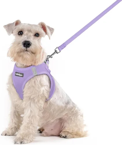 Miniatura 60 de rabbitgoo Juego de arnés para perro de tamaño pequeño y correa, chaleco ligero suave para cachorro, arnés de malla transpirable para mascotas