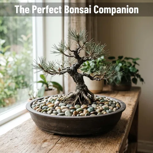 Miniatura 3 de Midwest Hearth - Piedras decorativas de jade para plantas y bonsái, piedras naturales pulidas, tamaño de 3/8 pulgadas (bolsa de 2 libras)