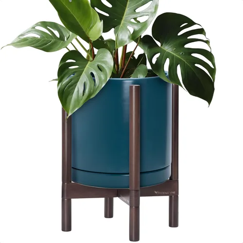 Miniatura 67 de D'vine Dev Maceta de cerámica con soporte de ébano – Maceta redonda moderna de 8 pulgadas con soporte para maceta de madera, color negro, 55-B-M-2
