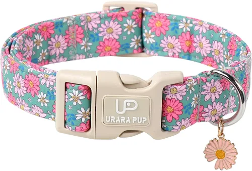 Miniatura 37 de Collar de perro de algodón de dinosaurio con hebilla de metal, collar de regalo para niñas o niños pequeños, medianos y grandes, lindos collares
