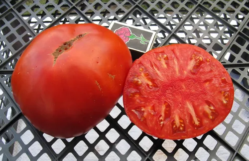 Miniatura 9 de Semillas Vegetal Beefsteak Tomate Red Giant Indetereminate Non GMO para plantar reliquia