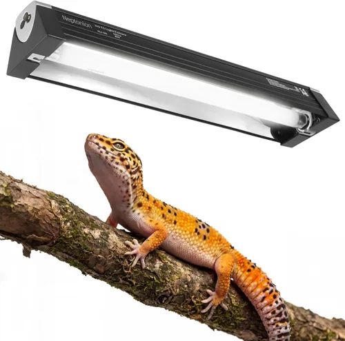 Bombilla de Luz UVB para Reptiles T5 de 12.5 Pulgadas con Accesorio de Bulbo UVB 5.0 de Alta Salida para Terrarios, Reptiles Tomando Sol, Lagartos,