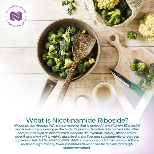 Miniatura 2 de Nootropics Depot Cápsulas de ribósido de nicotinamida 300 mg Precursor de NAD+ 30 unidades Promueve los niveles de NAD+ Energía celular