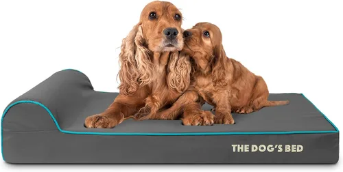 Miniatura 36 de The Dog's Bed - Cama Ortopédica para Perros con Reposacabezas XL Negra de Felpa, Espuma Viscoelástica, Alivio del Dolor para Artritis, Displasia