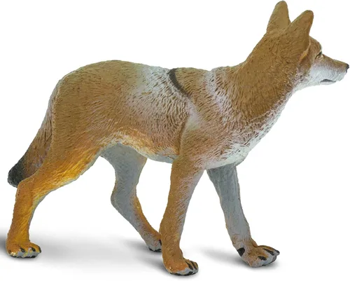 Miniatura 6 de Safari Ltd. Figura de Coyote – Figura de modelo realista de 3.75 pulgadas – Juguete educativo para niños, niñas y niños a partir de 1 año