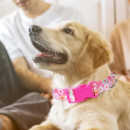 Miniatura 28 de Collares de Perro para Niñas con Patrones de Margaritas, Lindo Collar Rosa para Perras, Collares Ajustables Blandos y Duraderos para Perros XS 12
