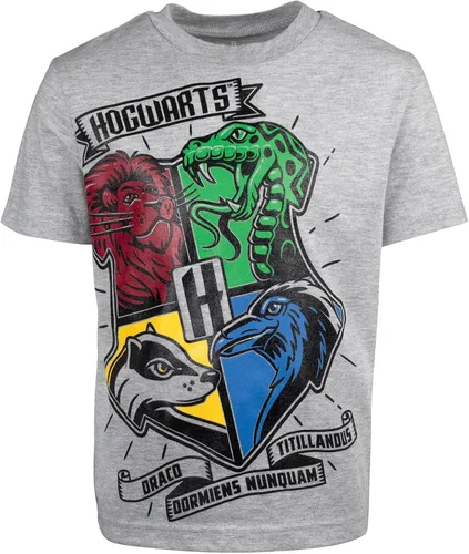 Miniatura 2 de Harry Potter Conjunto de camiseta y pantalones cortos de rizo francés