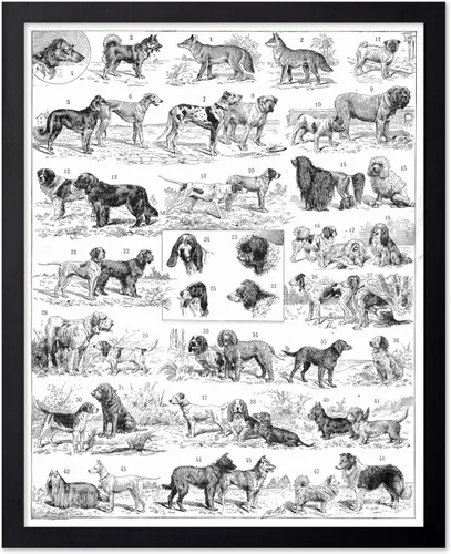 Miniatura 85 de Poster Master Póster vintage de miel, impresión retro de La Vie De L'Abeille, arte de panal de abeja, arte de pared de abeja, regalo para hombres