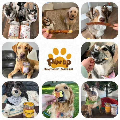 Miniatura 7 de PAWUP Dog Treats - Galletas envueltas en pollo, palitos de calabaza, sin cuero crudo, suaves masticables con taurina, golosinas de entrenamiento