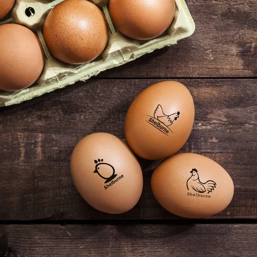 Miniatura 7 de Sellos de huevos para huevos frescos, Sello de huevo de pollo personalizado, Sellos de huevos personalizados, Sellos de huevos para huevos frescos