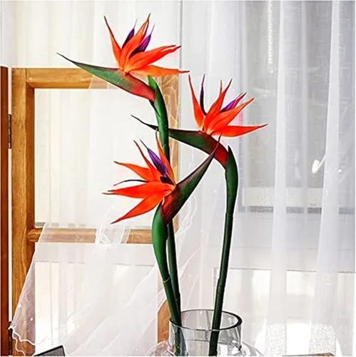 JOSON 3 piezas de aves artificiales del paraíso de tallo largo de 32 pulgadas con tallos de 0.5 pulgadas para decoración del hogar y fiestas, Rojo