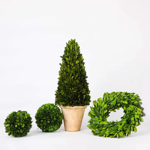 Miniatura 4 de Esfera decorativa de boj preservada, hojas de boj reales, plantas verdes, decoración del hogar para Navidad, Día de Acción de Gracias, regalos que