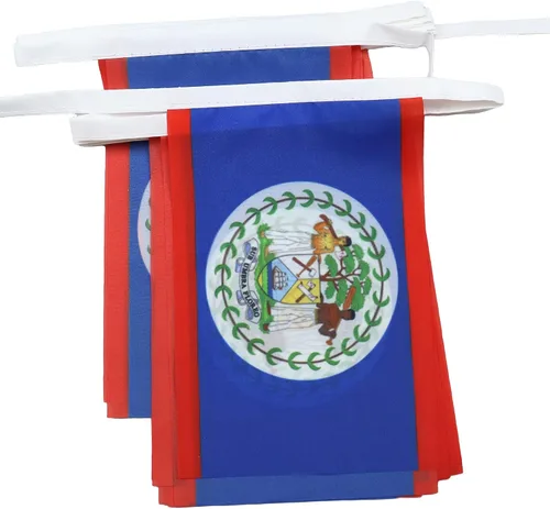 Miniatura 10 de AZ FLAG Señal marítima internacional 42.7 ft BUNTING Flag 40 banderas 9'' x 6'' - Banderas de cuerda del alfabeto náutico 5.9 x 8.3 in