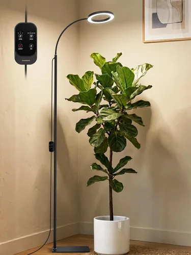 GLOWRIUM Luces de Crecimiento para Plantas de Interior, Luz LED de Cultivo de Espectro Completo, Atenuación Sin Escalones, 3 Modos de Iluminación y