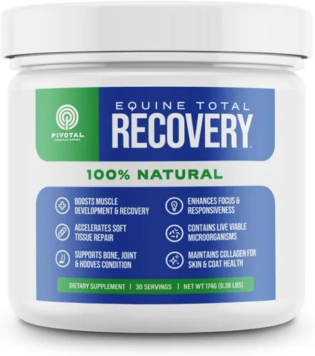 Pivotal Power+ Suplemento para caballo (6.14 oz/0.38 libras - 30 porciones) – 9 aminoácidos equinos más probióticos para caballos – Sin azúcar