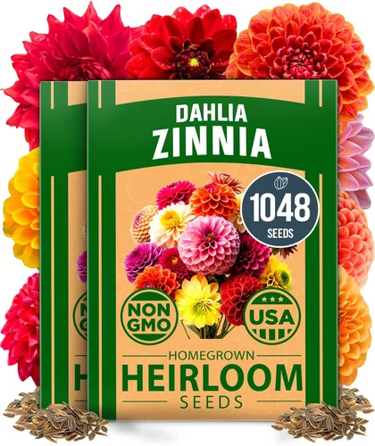 Miniatura 141 de HOME GROWN Mezcla de semillas germinantes de primera calidad, microgreens 118,200 semillas para cultivo en interiores, brócoli, alfalfa, rábano