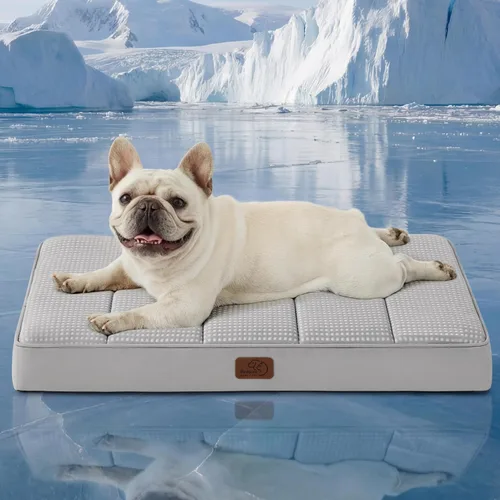 Miniatura 39 de Bedsure Camas para Perros Tamaño Grande - Cómodas Camas Planas para Mascotas con Funda Lavable Extraíble, Alfombrilla de Espuma Ortopédica
