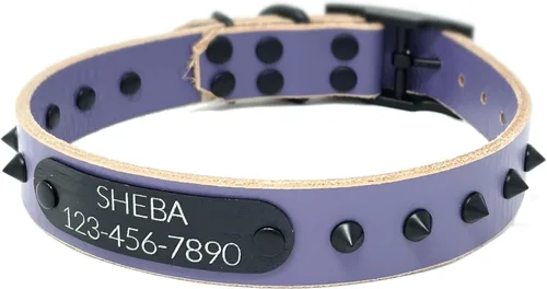 Miniatura 16 de Personalized Spiked Bridle Leather Dog Collar, Engraved Matte Black Metal Nameplate (Mustard Yellow)