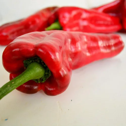Miniatura 3 de Marconi Red Pepper – 25 semillas – Pimienta italiana dulce gigante, variedad de pimiento reliquia, cultivadas en Estados Unidos, semillas
