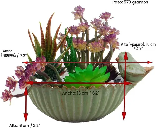 Miniatura 2 de NWFashion - Maceta divertida con diseño especial para jardín, suculentas, de 6 pulgadas, para interior y exterior (pájaro)