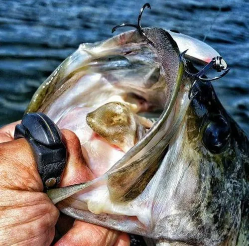 Miniatura 5 de Line Cutterz Anillo de cuchilla de cerámica patentado sin óxido, cortador de línea de pesca rápido