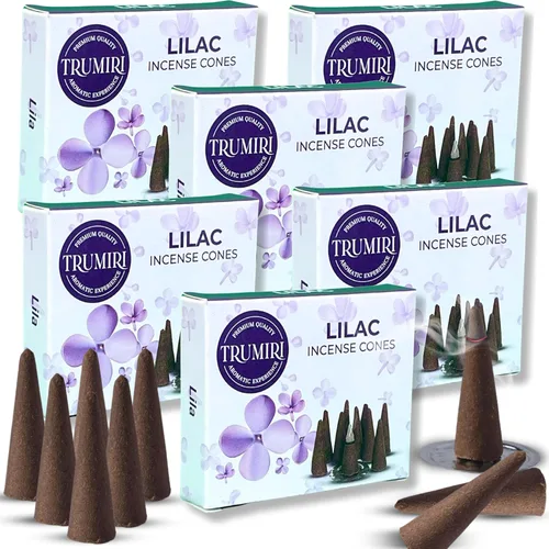 Miniatura 57 de TRUMIRI Incienso ámbar – Paquete de 20 conos (2 x 10) – Incienso de cono perfumado