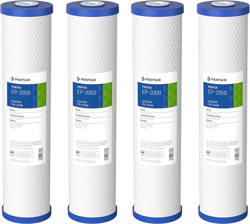 Pentair Pentek EP-20BB Filtro de Agua de Carbón Big Blue, 20 Pulgadas, Cartucho de Repuesto de Bloque de Carbón para Toda la Casa con Filtro de