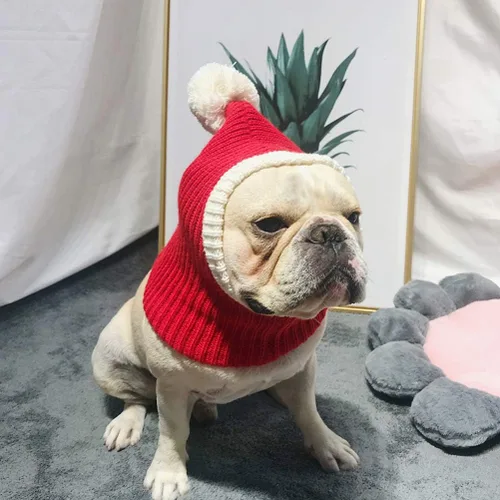 Miniatura 6 de POPETPOP Sombrero de Navidad para perro, cálido gorro de invierno para cachorros, grueso, pequeño, de punto, para gato, Navidad, diadema, ropa