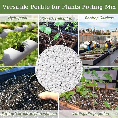 Miniatura 7 de Riare Perlita orgánica de 2 cuartos de galón para plantas, enmienda de suelo de perlita hortícola para plantas, mezcla de macetas, acondicionador