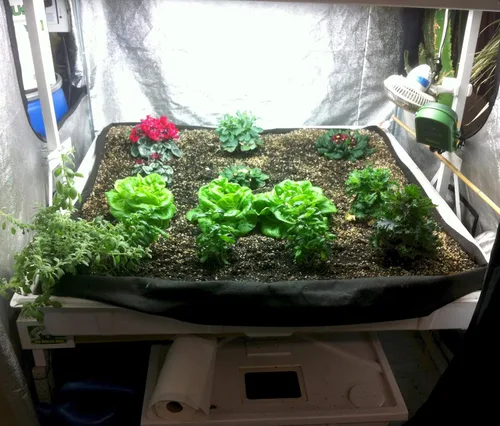 Miniatura 4 de Smart Pot Forro de bandeja, inundación de cama elevada, 4 pies x 8 pies (48 pulgadas x 96 pulgadas)