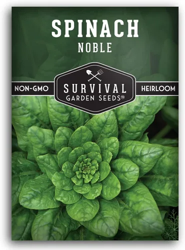 Semillas gigantes de espinacas nobles para plantar, vegetales tradicionales sin OMG, tolerantes a la sequía, resistentes a los tornillos, espinacas