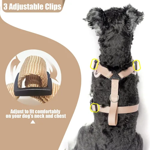 Miniatura 5 de PUPTECK Juego de arnés y correa para perro pequeño, arnés ajustable sin tirones para cachorro, chaleco de malla suave reflectante para mascotas