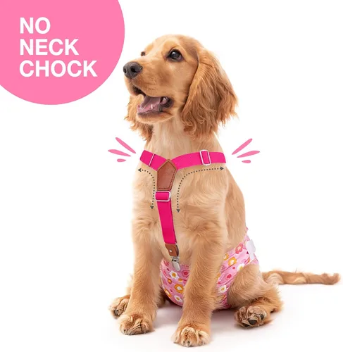 Miniatura 2 de Pet Soft Tirantes de pañales para perro hembra, 2 piezas, tirantes para falda de perro, vestido, Negro, rosa, marrón, burdeos
