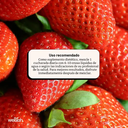 Miniatura 6 de Wellah Creatina para Mujeres - Monohidrato de Creatina con Diente de León y Extracto de Arándano Rojo (50 Porciones, Limonada de Fresa)