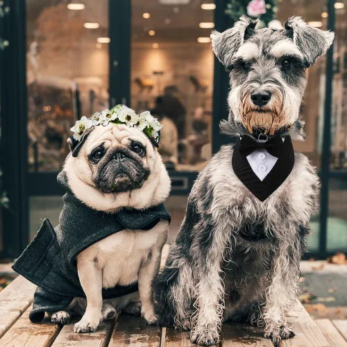 Miniatura 5 de Bandana de esmoquin, collar ajustable para mascotas con lazo para perros pequeños, medianos y grandes, ropa formal de boda, regalos de cumpleaños