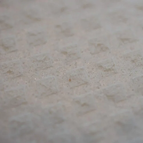 Miniatura 3 de SWEDEdishcloths - Juego de 5 paños de esponja de celulosa (1 gris, 4 naturales) suecos Combo Gnnnn