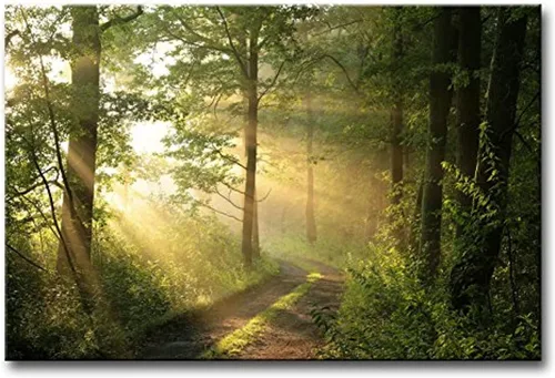 Arte de pared de bosque, naturaleza, moderno, lienzo, pintura, la imagen para decoración del hogar, niebla por la mañana, primavera, paisaje,