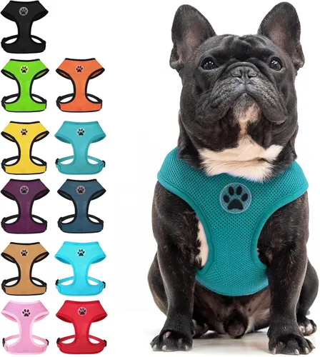Miniatura 21 de BINGPET Arnés para perro sin tirones, arnés de chaleco tipo step-in de malla para todo clima para perros pequeños, arnés de malla transpirable