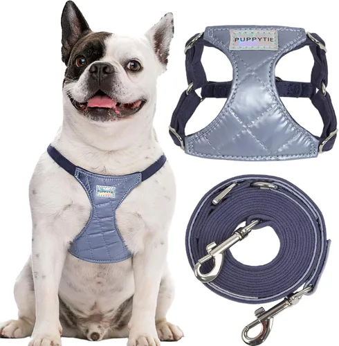 Miniatura 10 de Puppytie Arnés sin tirones para perro, con correa multifunción, pechera suave y ajustable para mascota, no ahorca, chaleco a prueba de escape, rosa
