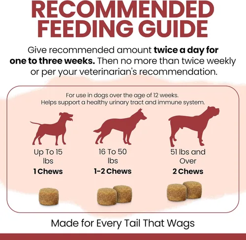 Miniatura 5 de Suplemento de arándano para perros, 120 masticables suaves, apoyo natural para infecciones del tracto urinario y control saludable de la vejiga