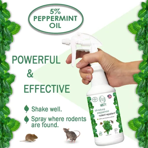 Miniatura 3 de Minty Repelente de roedores, espray de aceite de menta natural al 5% para ratones, ratas, ardillas y roedores, en interiores y exteriores, uso